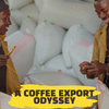 A Coffee Export Odyssey